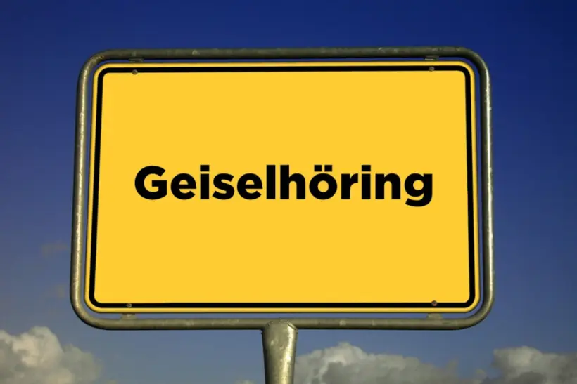 Geiselhöring